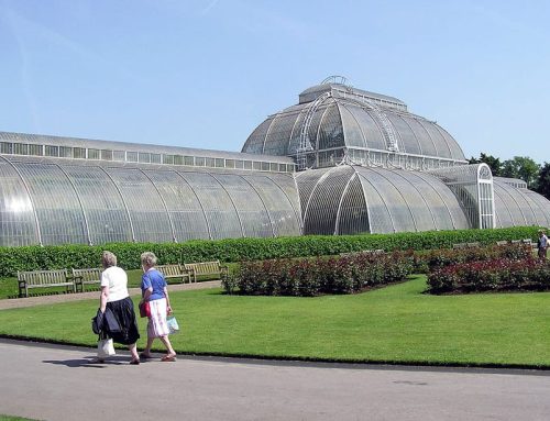 Kew Gardens, Kebun Botani Inggris dengan Pemandangan Cantik