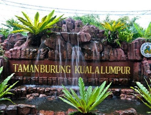 Taman Burung Kuala Lumpur, Destinasi Unik Wisata Hewan