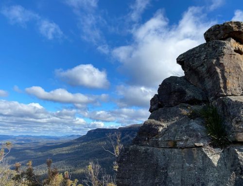 Blue Mountains: Kawasan Warisan Dunia di Barat Sydney