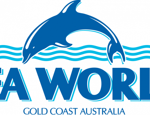 Sea World Australia, Serunya Bermain dan Mengenal Hewan Laut