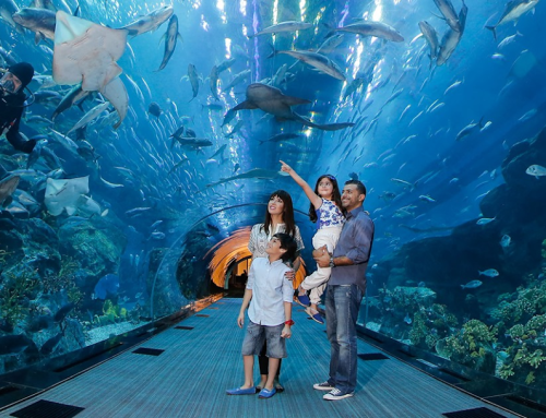 Dubai Aquarium & Underwater Zoo, Akuarium Terbesar Dunia!